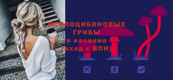 сатива Алексеевка