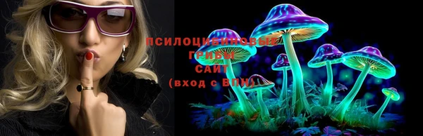 ГАЛЛЮЦИНОГЕННЫЕ ГРИБЫ Алексин