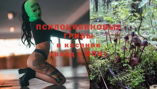 ГАЛЛЮЦИНОГЕННЫЕ ГРИБЫ Алексин