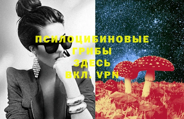 ГАЛЛЮЦИНОГЕННЫЕ ГРИБЫ Алексин