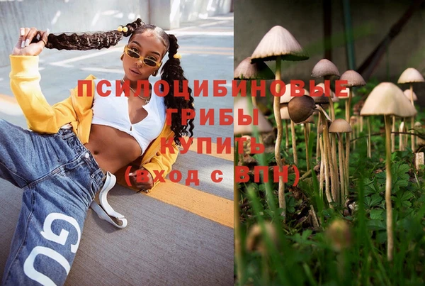 сатива Алексеевка