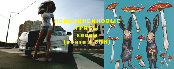 ГАЛЛЮЦИНОГЕННЫЕ ГРИБЫ Алексин